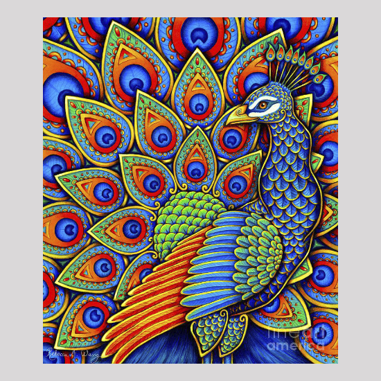 Colorful Paisley Peacock Collection